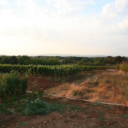 Međugorje Apartments Paninich מראה חיצוני תמונה
