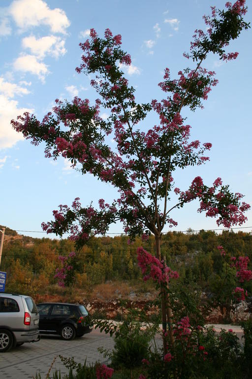 Međugorje Apartments Paninich מראה חיצוני תמונה